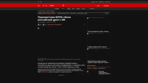 Bildschirmfoto des Originalartikels auf korrespondent.net