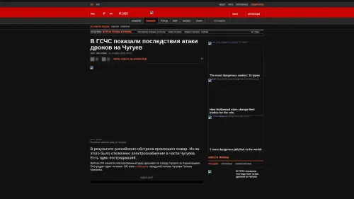 Bildschirmfoto des Originalartikels auf korrespondent.net