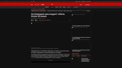 Bildschirmfoto des Originalartikels auf korrespondent.net