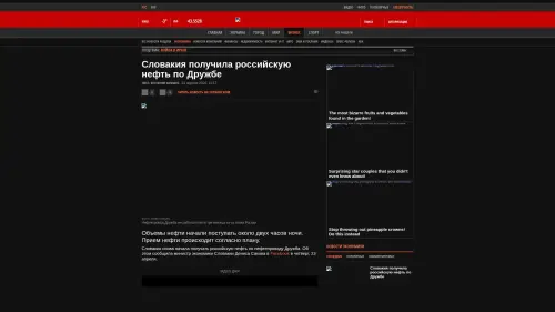 Bildschirmfoto des Originalartikels auf korrespondent.net