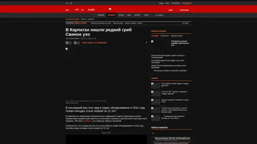 Bildschirmfoto des Originalartikels auf korrespondent.net