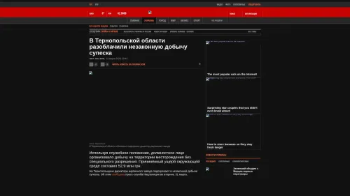 Bildschirmfoto des Originalartikels auf korrespondent.net