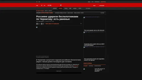 Bildschirmfoto des Originalartikels auf korrespondent.net