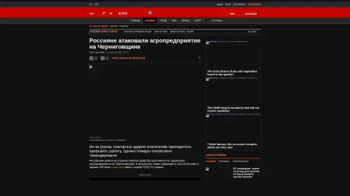 Bildschirmfoto des Originalartikels auf korrespondent.net