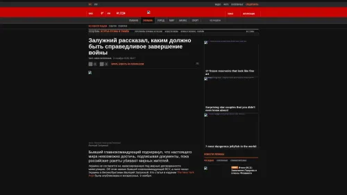 Bildschirmfoto des Originalartikels auf korrespondent.net