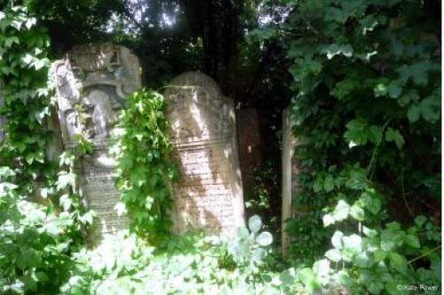 Czernowitz Friedhof Kathrin Power